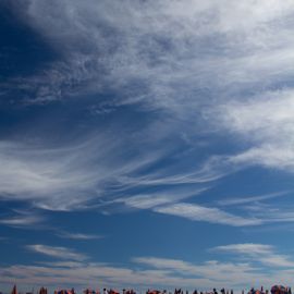 After the storms, febr 2011