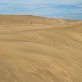 maspalomas_dunes_and_beach_-_febr_2011_-047