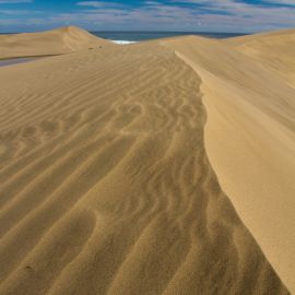 maspalomas_dunes_and_beach_-_febr_2011_-051