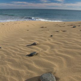 maspalomas_dunes_and_beach_-_febr_2011_-057