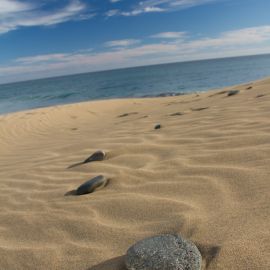 maspalomas_dunes_and_beach_-_febr_2011_-058