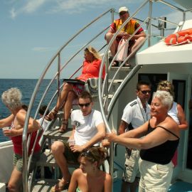 ferry-mogan-blue-bird-058