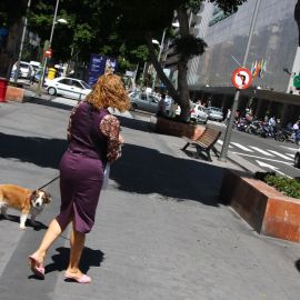 Las Palmas Streetlife