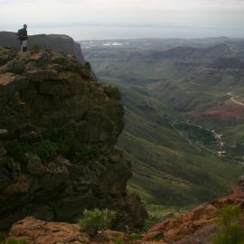 South East with Neophron