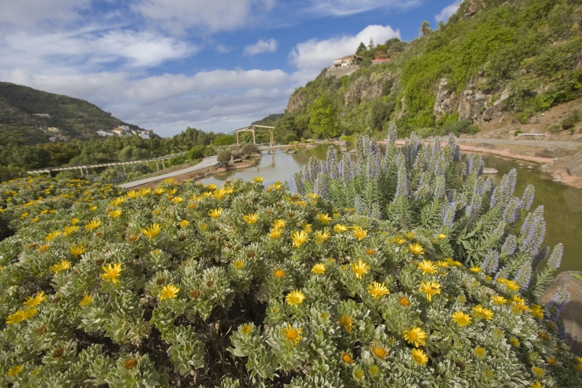 The beautiful Jard&iacute;n Canaria in Gran Canaria