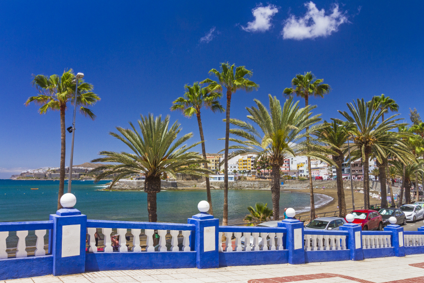 Arguinegu&iacute;n beachfront with palm trees